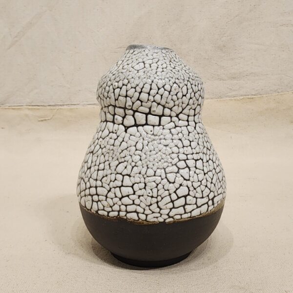 Cerimic Doted Pot